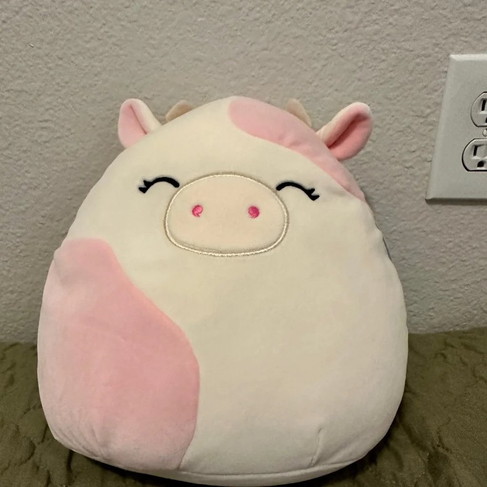 Caedyn Squishmallow